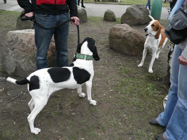 cecilka 025 (Small)